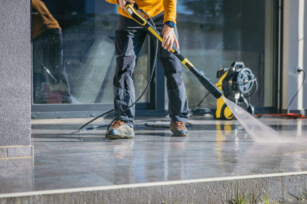 Best Vinyl Siding Pressure Washing in Springerville, AZ